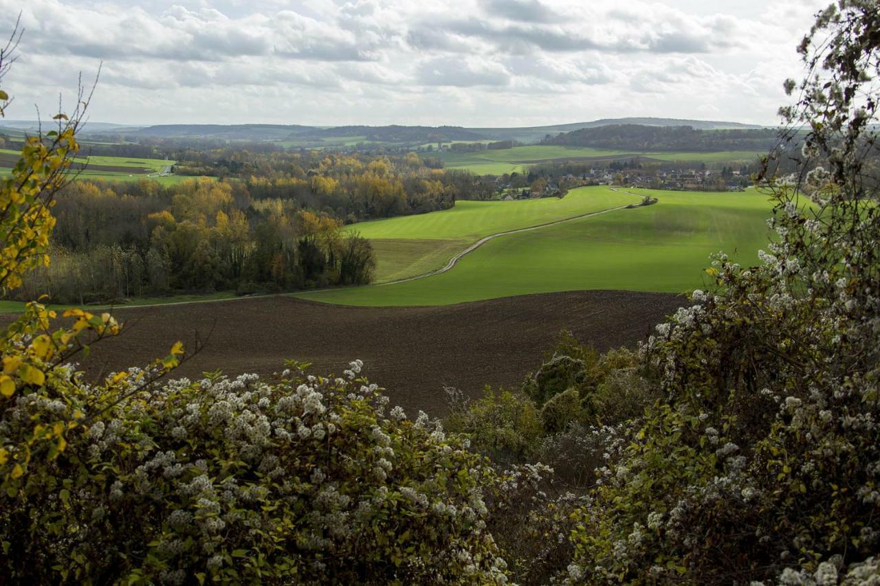 Le Lodge Des Bruyeres Mont-Notre-Dame Exteriér fotografie